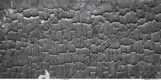 Photo Textures of Wood